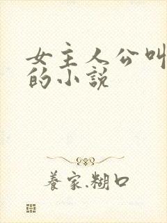 女主人公叫苏念的小说