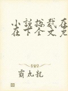 小说总裁在上我在下全文免费阅读封面