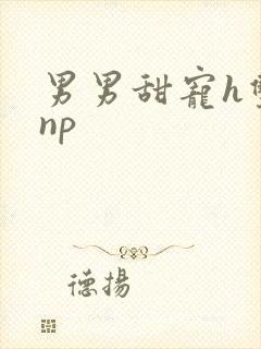 男男甜宠h双性np