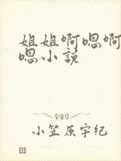 姐姐啊嗯啊嗯啊嗯小说封面