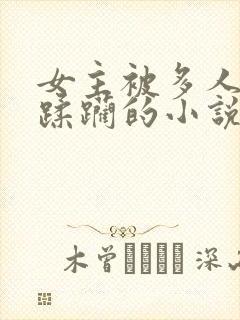 女主被多人强行蹂躏的小说封面