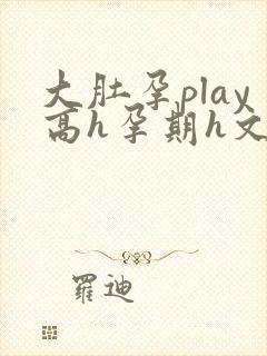 大肚孕play高h孕期h文