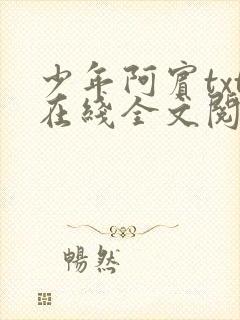 少年阿宾txt在线全文阅读