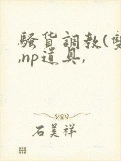 骚货调教(双性,np道具,