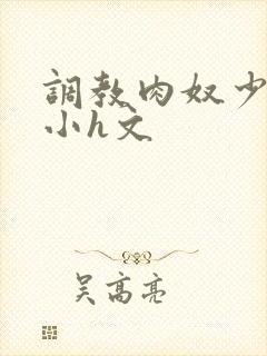 调教肉奴少司缘小h文