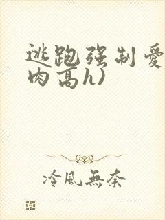 逃跑强制爱(巨肉高h)