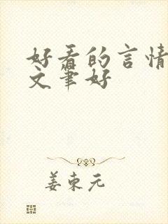 好看的言情小说文笔好封面