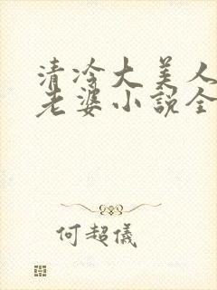 清冷大美人是我老婆小说全文阅读