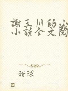 谢玉川的小母狗小说全文阅读笔趣阁