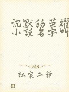 沉默的荣耀原著小说名字叫什么封面