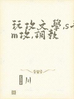 玩攻文学,s受m攻,调教