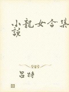 小龙女合集 小说