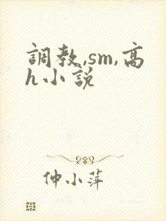 调教,sm,高h小说封面