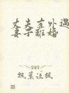 丈夫有外遇要和妻子离婚封面