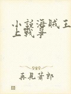 小说海贼王之顶上战争封面