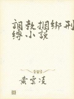 调教捆绑刑具束缚小说