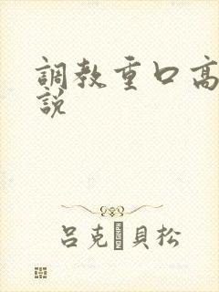 调教重口高h小说封面