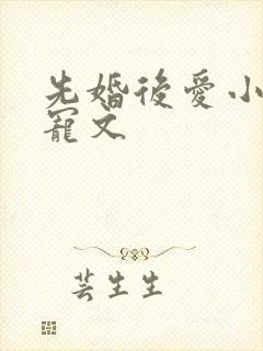 先婚后爱小说甜宠文