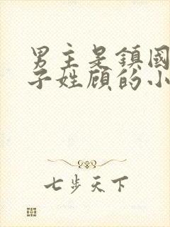 男主是镇国公世子姓顾的小说