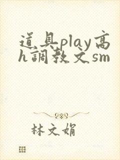 道具play高h调教文sm