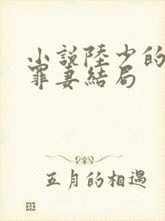 小说陆少的隐婚罪妻结局