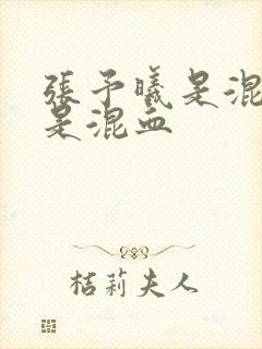 张予曦是混血还是混血