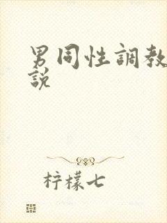 男同性调教h小说