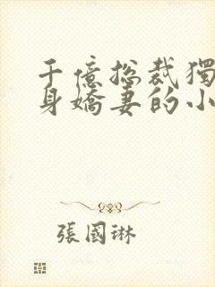 千亿总裁独宠替身娇妻的小说封面