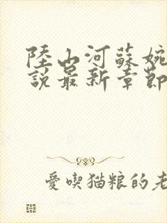 陆山河苏婉晴小说最新章节更新