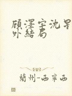 顾泽宇沈星晚番外结局