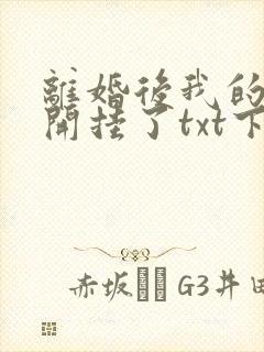 离婚后我的人生开挂了txt下载全文免封面