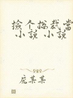 捡个总裁当老婆 小说 小说