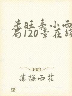 老旺秦小雨大结局120章在线阅读