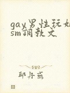 gay男性玩奴sm调教文