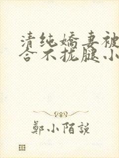清纯娇妻被c得合不拢腿小说