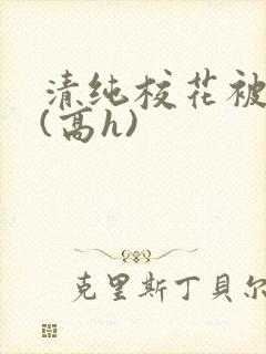 清纯校花被调教(高h)