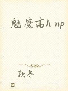 魅魔高h np