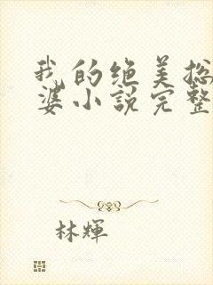 我的绝美总裁老婆小说完整版