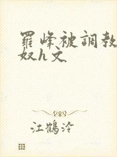 罗峰被调教成肉奴h文