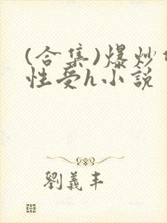 (合集)爆炒双性受h小说封面