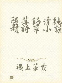 堕落的清纯校花赵诗宁小说全文下载