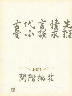 古代言情先婚后爱小说求推荐封面