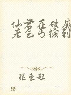 仙君在破庙里被老乞丐捡到小说