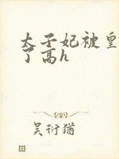 太子妃被皇帝强了高h封面