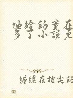 他给的实在是太多了小说免费阅读