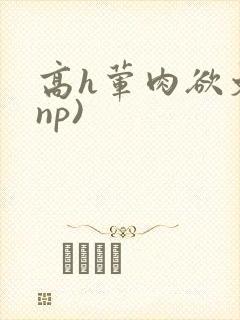 高h荤肉欲文(np)