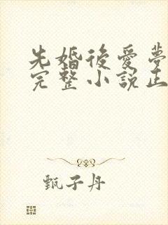 先婚后爱梦筱二完整小说正确顺序