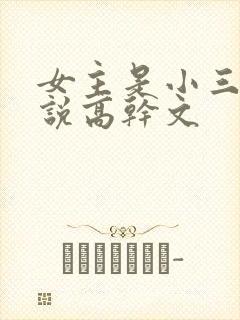 女主是小三的小说高干文封面