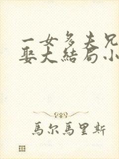 一女多夫兄弟共娶大结局小说