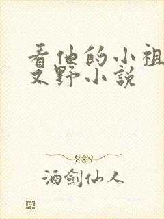 看他的小祖宗甜又野小说